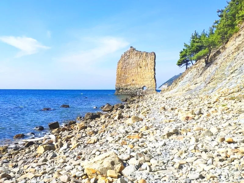 К скале парус на коралле